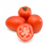 tomate-italiano-organico
