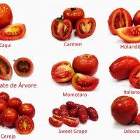 Tipos de Tomate