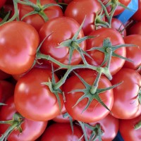 tomatoes_vegetables_red
