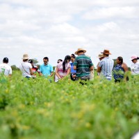 agrofito_treinamento_02