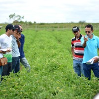 agrofito_treinamento_03