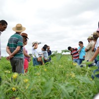 agrofito_treinamento_04