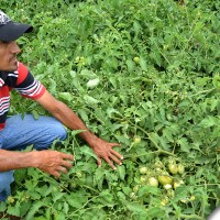 agrofito_treinamento_07
