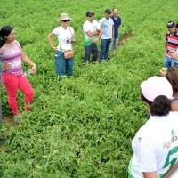 agrofito_treinamento_11