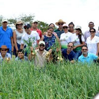 agrofito_treinamento_15