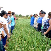 agrofito_treinamento_19