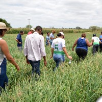 agrofito_treinamento_23