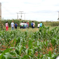 agrofito_treinamento_24