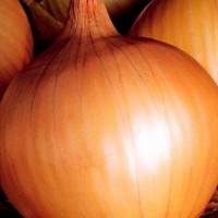 13151621_834629690013976_6405864145647137763_n